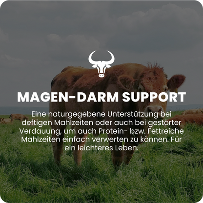 Magen-Darm Support